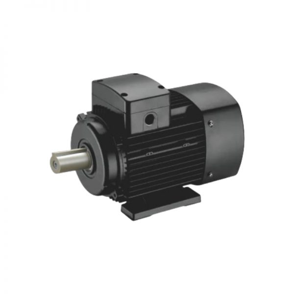 YD Series Pole-Changing Multi-Speed Three Phase Asynchronous Electric Motor - 图片 6