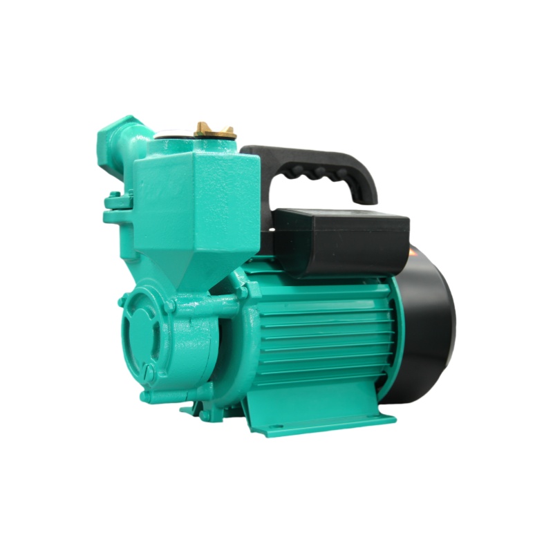 Self-Priming Peripheral Pumps WZB